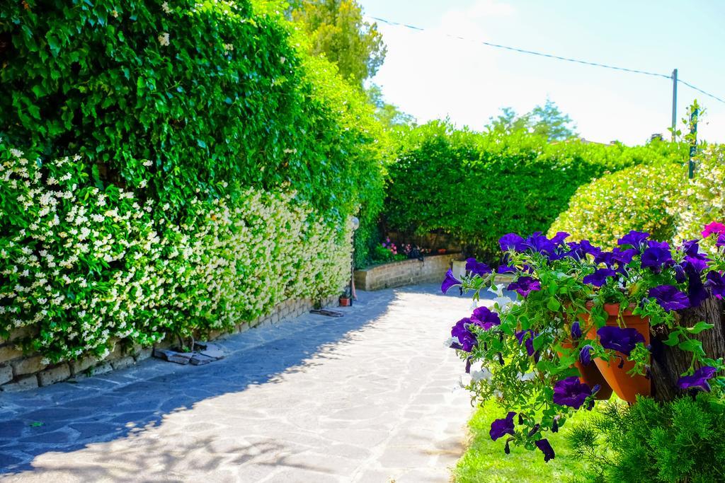La Dolce Sosta Bed & Breakfast Campagnano Di Roma Eksteriør bilde